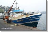  () Cap Lizard SM749742